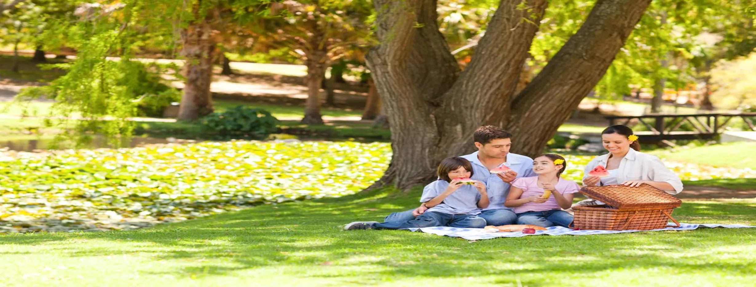 Image for Park Picnics